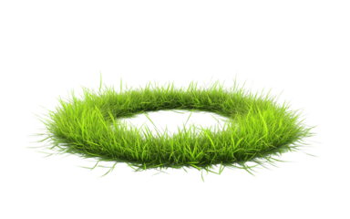 Patch of fresh green lawn grass, cut out