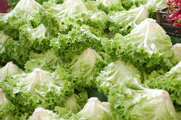 Fresh green lettuce displayed at a local market stall in daylight