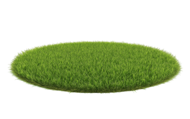 Patch of fresh green lawn grass, cut out