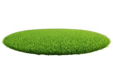 Poster Patch of fresh green lawn grass, cut out