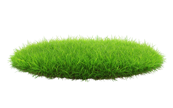 Patch of fresh green lawn grass, cut out