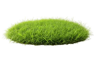 Patch of fresh green lawn grass, cut out