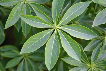 Vibrant Green Palm-Like Leaves Closeup Nature Photography