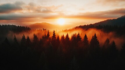 Majestic sunrise over misty forest nature landscape aerial view serene environment
