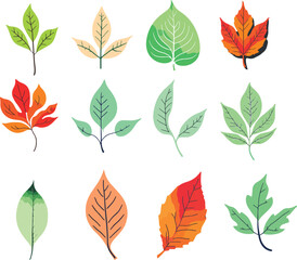 Obraz premium Illustrations of various types of leaves featuring different shapes, colors, and vein patterns. The leaves are depicted in a minimalist and modern style with clean lines and vibrant colors