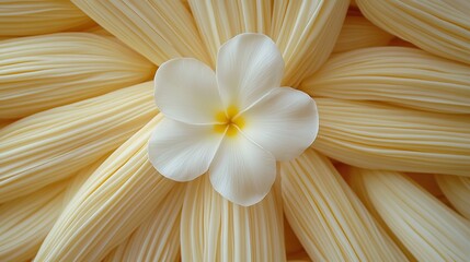 Delicate white flower centered in a design of pale yellow fabric