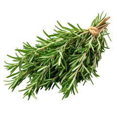 Freshly Picked Rosemary Sprigs with Aroma Isolated on Transparent Background
