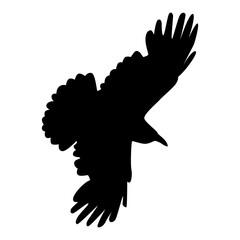 Halloween Crow Silhouette. Isolated on White Background. 