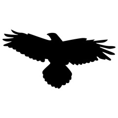 Halloween Crow Silhouette. Isolated on White Background. 