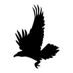 Halloween Crow Silhouette. Isolated on White Background. 