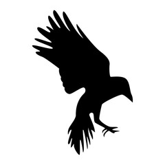 Halloween Crow Silhouette. Isolated on White Background. 