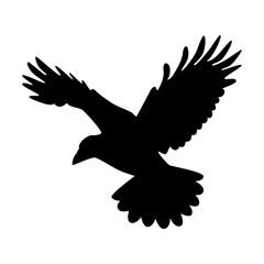 Obraz premium Halloween Crow Silhouette. Isolated on White Background. 