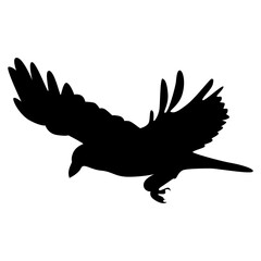 Halloween Crow Silhouette. Isolated on White Background. 