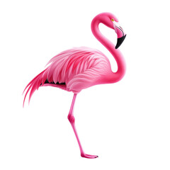 Elegant pink flamingo standing gracefully