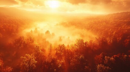Naklejka premium Aerial View of Stunning Golden Autumn Forest in Soft Morning Light
