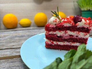 delicious piece of sponge cake on a plate.