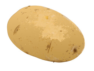 potato
