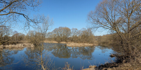 Spring walk through the forest, beautiful panorama.