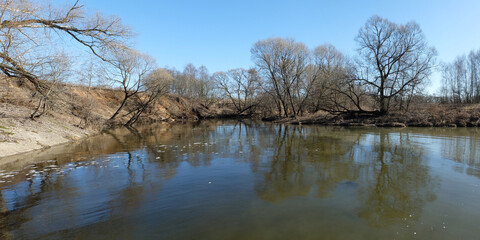 Spring walk through the forest, beautiful panorama.