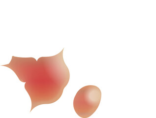 vector illustration of a red icon with a white gradient and isolated background