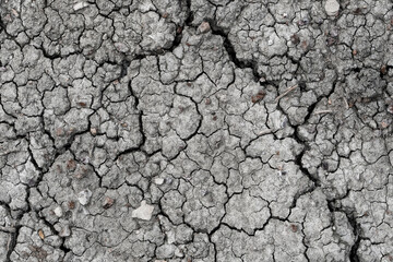 A close-up of cracked earth highlights the effects of drought and climate change, representing the urgent need for environmental awareness and conservation efforts.