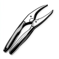 Obraz premium Metal Pliers Illustration