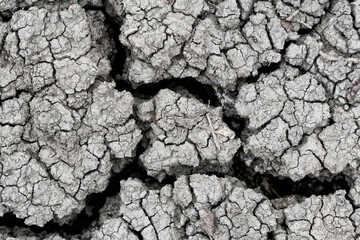 A close-up view of cracked ground in a dry landscape, symbolizing drought and climate change while highlighting the urgent need for environmental awareness and stewardship.
