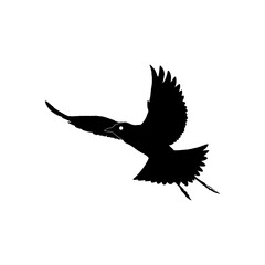flying bird silhouette vector