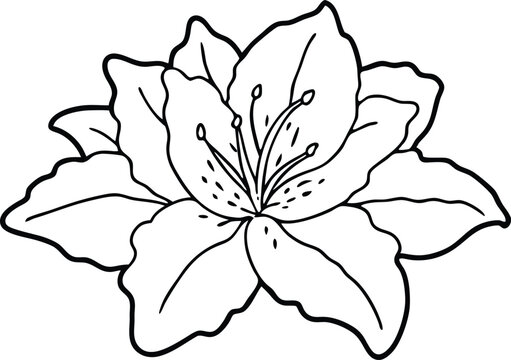 recommend clip art: Azalea flower line art vector, flower outline vector