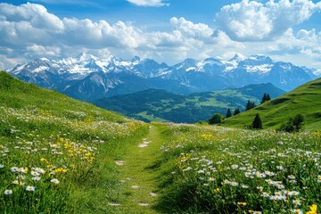 Alpine meadow path to snowy peaks