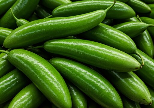Pile of Pointed Gourd Vegetables Fresh and Green for Cooking