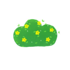 A dense shrub with tiny yellow flowers.