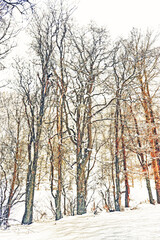 Paesaggio con bosco invernale.