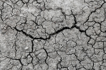 A detailed view of cracked earth displays the stark beauty of dryness, emphasizing the impact of climate and drought on natural landscapes showcasing resilience and the struggle for survival.