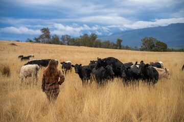 female regenerative organic farmer, taking soil samples and looking at plant growth in a farm. women in agriculture practicing sustainable agriculture good looking farmer
