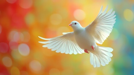 Graceful White Bird in Flight Against a Vibrant Colorful Background of Soft Bokeh Lights