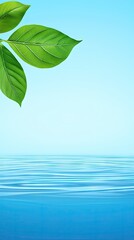 Green leaves over calm water; nature background for spa, wellness, or eco-friendly design