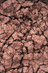 A close-up view of dry, cracked red earth, revealing intricate textures that tell a story of drought, resilience, and the beauty of arid landscapes in a captivating manner.