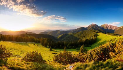 slovakia forest spring panorana landscape with mountain at sunset