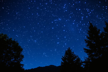 Starry Night Sky Filled with Countless Bright Stars