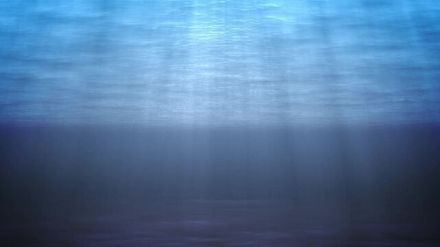 水中。上から光が降り注ぎ、水面が光っている。ループ。