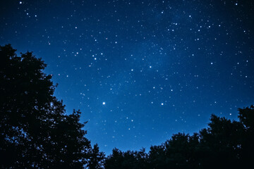 Starry Night Sky Filled with Countless Bright Stars