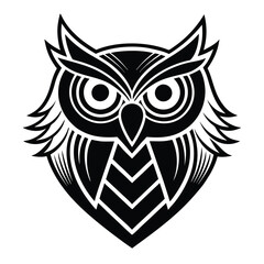 owl on white background