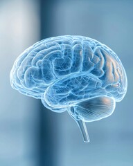 Transparent brain illustration in blue tones with intricate details and highlighted features