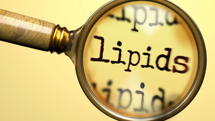 Lipids under magnifying glass. Thorough analysis and inspection of lipids. Taking a closer look at lipids. Examination of the concept of lipids ,3d illustration
