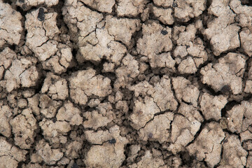 This image showcases a dry, cracked earth surface, emphasizing the stark beauty of arid landscapes and the impact of drought on the environment and nature's resilience.