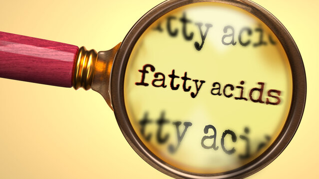 Fatty Acids under magnifying glass. Thorough analysis and inspection of fatty acids. Taking a closer look at fatty acids. Examination of the concept of fatty acids ,3d illustration