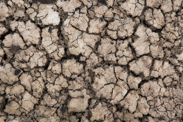 A close-up view of cracked earth revealing the harsh impacts of drought, portraying the struggle of nature and the urgent need for water conservation in our changing environment.