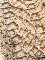 Tire prints in mud