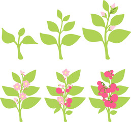 Farming and Gardening Tomato Growth Cycle Art. This educational and botanical-themed artwork is perfect for farming, gardening, biology studies, agricultural content, and plant growth art